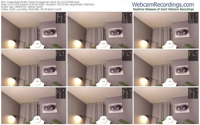 2024/10/12/chaturbate-meganiex-07-40-38