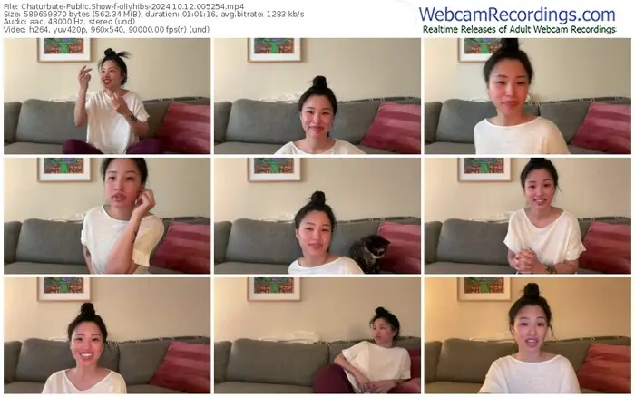 2024/10/12/chaturbate-ollyhibs-00-52-54
