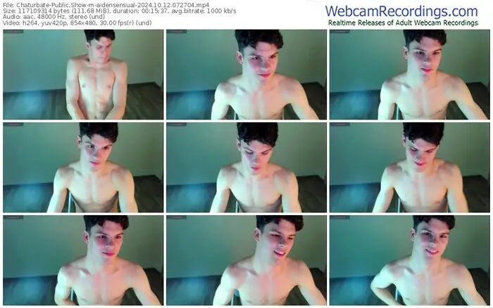 2024/10/12/chaturbate-aidensensual-07-27-04