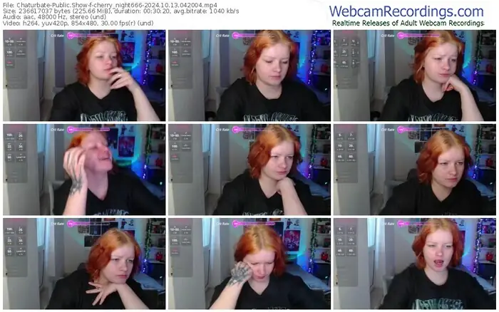 2024/10/13/chaturbate-cherry_night666-04-20-04
