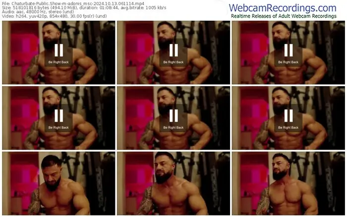 2024/10/13/chaturbate-adonis_msc-06-11-14