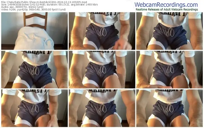 2024/10/13/chaturbate-bestdick1991-16-50-05