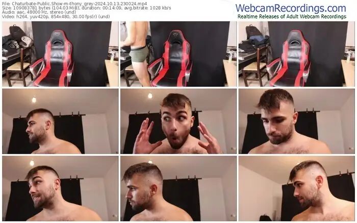 2024/10/13/chaturbate-thony_grey-23-00-24