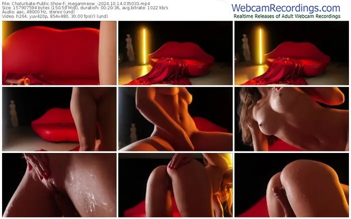 2024/10/14/chaturbate-_meganmeow_-03-50-33
