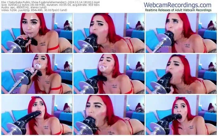 2024/10/14/chaturbate-gabrielahernandez1-18-18-12