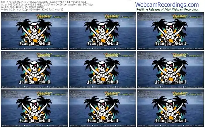 2024/10/14/chaturbate-naughty_skull-09-54-39