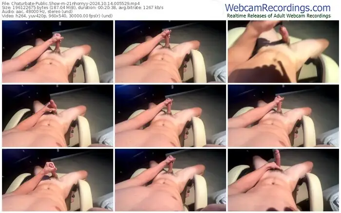 2024/10/14/chaturbate-21nhornyy-00-55-29