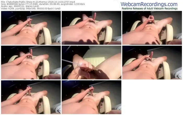 2024/10/14/chaturbate-21nhornyy-01-27-07