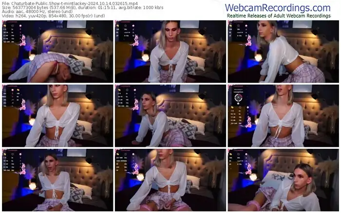 2024/10/14/chaturbate-mintlackey-03-26-15