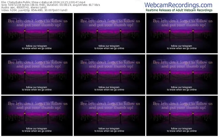 2024/10/15/chaturbate-8abycat-10-01-47