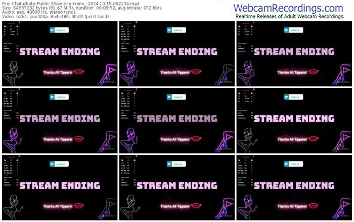 2024/10/15/chaturbate-minions_-06-21-34