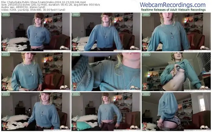 2024/10/15/chaturbate-nami3neko-00-12-44
