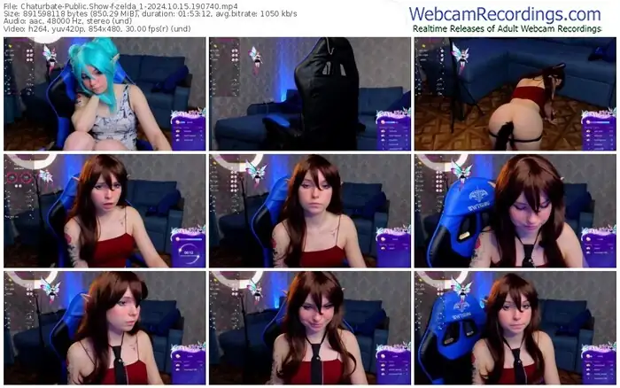 2024/10/15/chaturbate-zelda_1-19-07-40