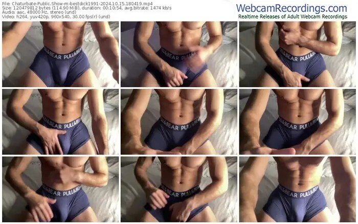 2024/10/15/chaturbate-bestdick1991-18-04-19