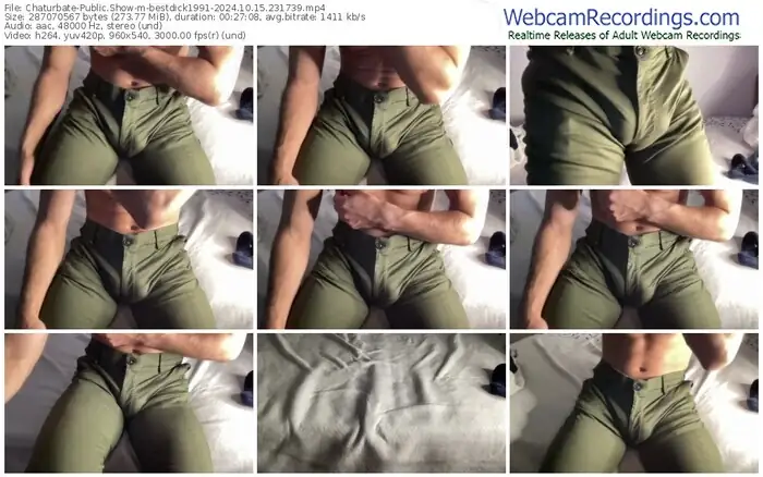 2024/10/15/chaturbate-bestdick1991-23-17-39