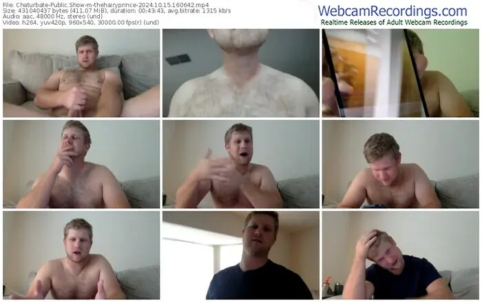 2024/10/15/chaturbate-thehairyprince-16-06-42