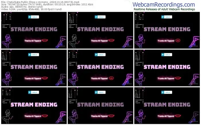 2024/10/16/chaturbate-minions_-06-07-31