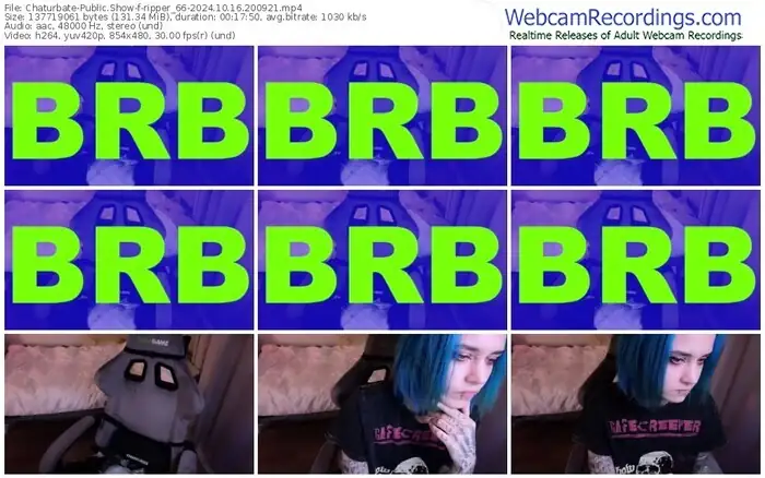 2024/10/16/chaturbate-ripper_66-20-09-21