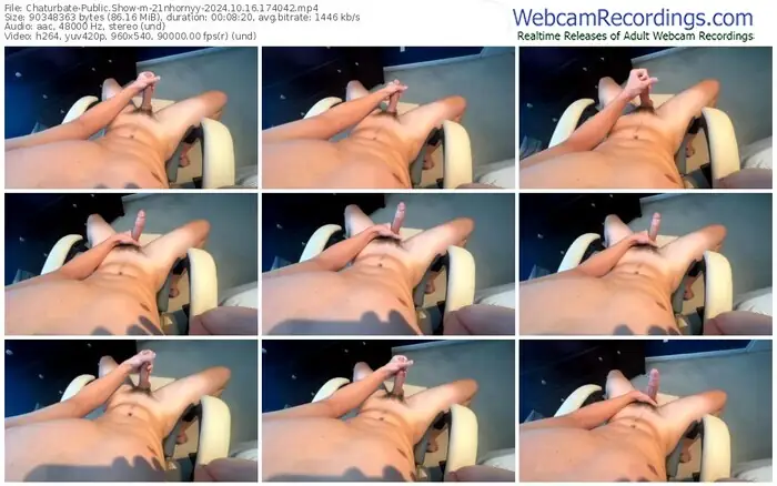 2024/10/16/chaturbate-21nhornyy-17-40-42