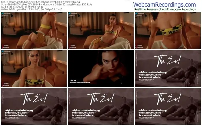 2024/10/17/chaturbate-thecherie-23-22-33