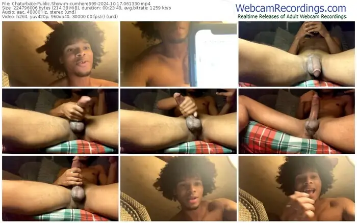 2024/10/17/chaturbate-cumhere999-06-13-30