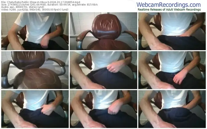 2024/10/17/chaturbate-t8xxx3-00-48-54