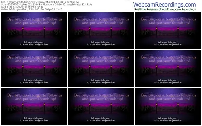 2024/10/18/chaturbate-8abycat-14-07-20