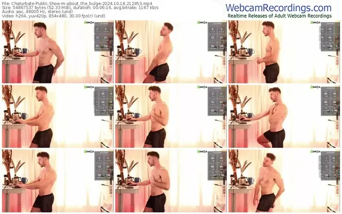 2024/10/18/chaturbate-about_the_bulge-21-29-53