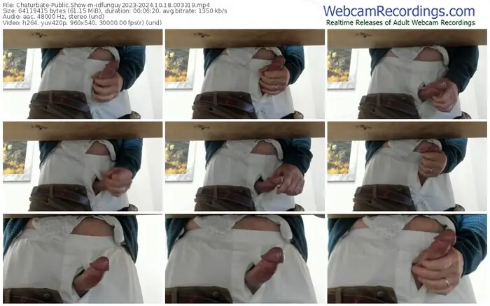 2024/10/18/chaturbate-idfunguy2023-00-33-19