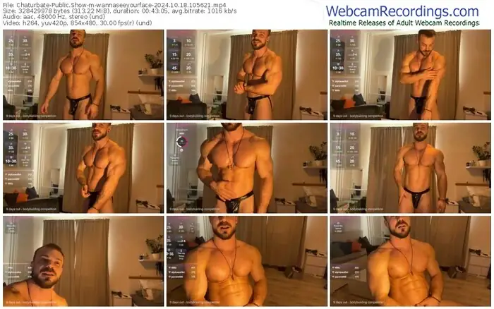2024/10/18/chaturbate-wannaseeyourface-10-56-21