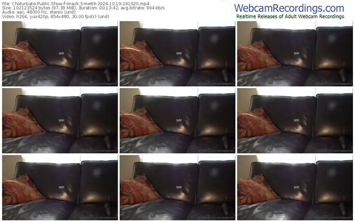 2024/10/19/chaturbate-snack_time69-19-19-20