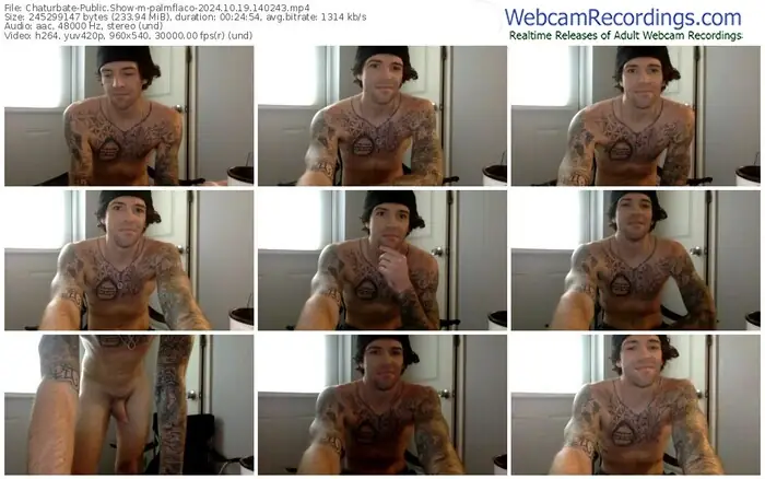 2024/10/19/chaturbate-palmflaco-14-02-43