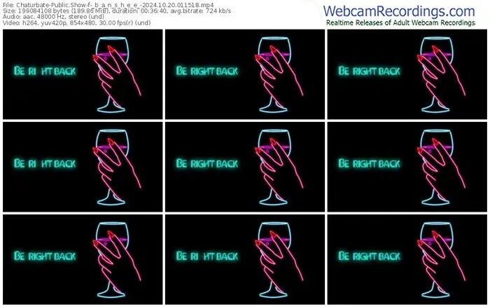 2024/10/20/chaturbate-_b_a_n_s_h_e_e_-01-15-18
