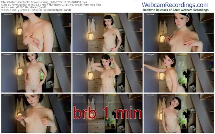 2024/10/20/chaturbate-spring_girls-08-48-53