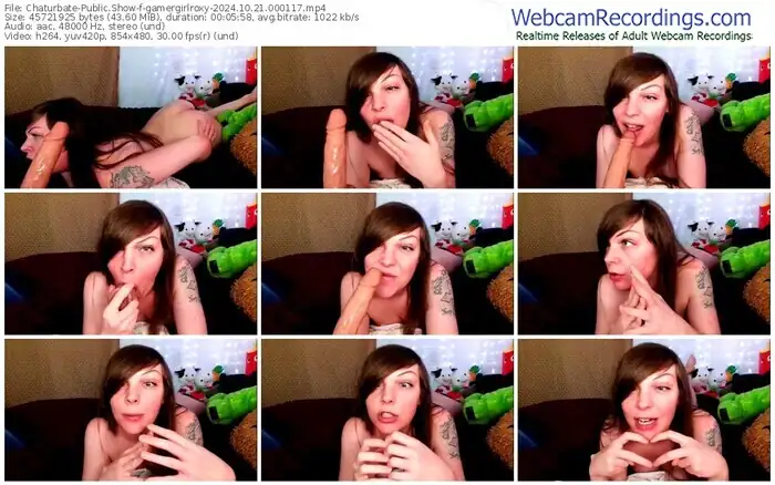 2024/10/21/chaturbate-gamergirlroxy-00-01-17