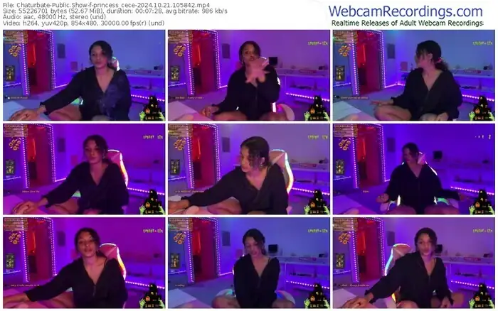 2024/10/21/chaturbate-princess_cece-10-58-42