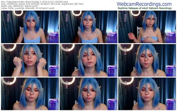 2024/10/21/chaturbate-zelda_1-13-53-39
