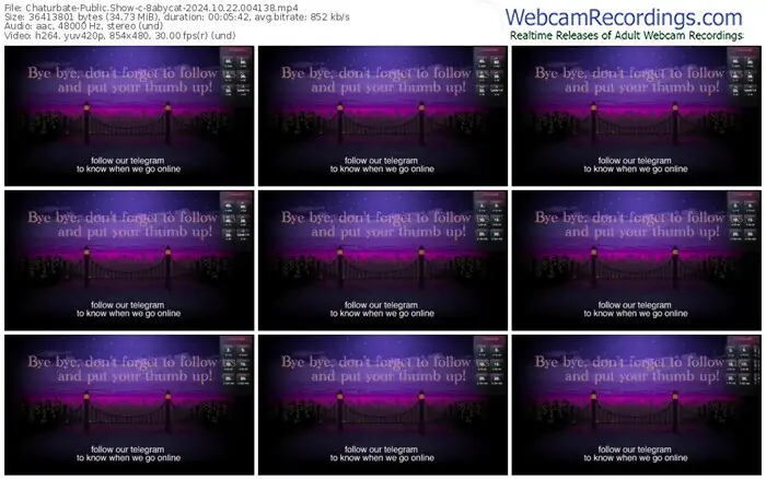 2024/10/22/chaturbate-8abycat-00-41-38