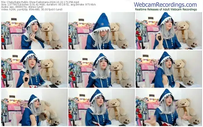 2024/10/22/chaturbate-aikonara-17-12-58