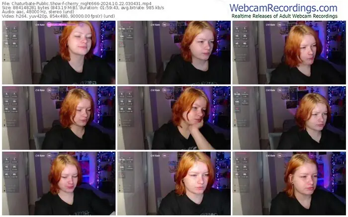 2024/10/22/chaturbate-cherry_night666-03-04-31