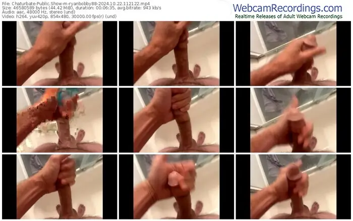 2024/10/22/chaturbate-ryanbobby88-11-21-22