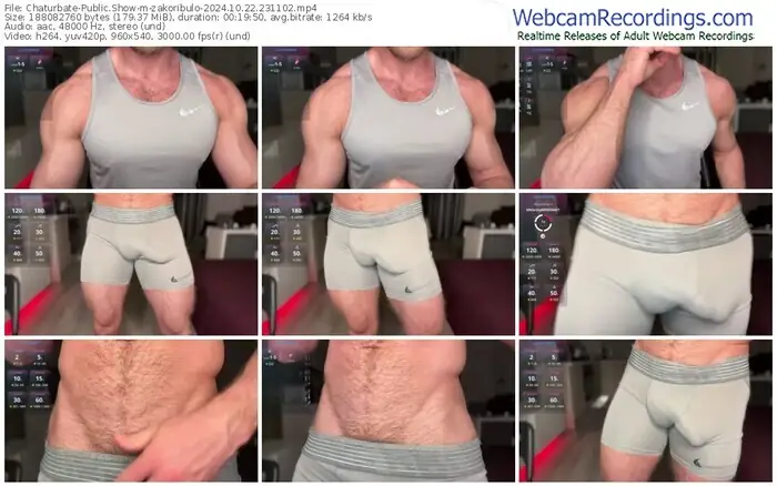 2024/10/22/chaturbate-zakoribulo-23-11-02