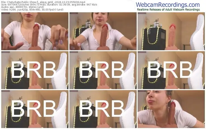 2024/10/23/chaturbate-_alexa_gold_-05-59-36
