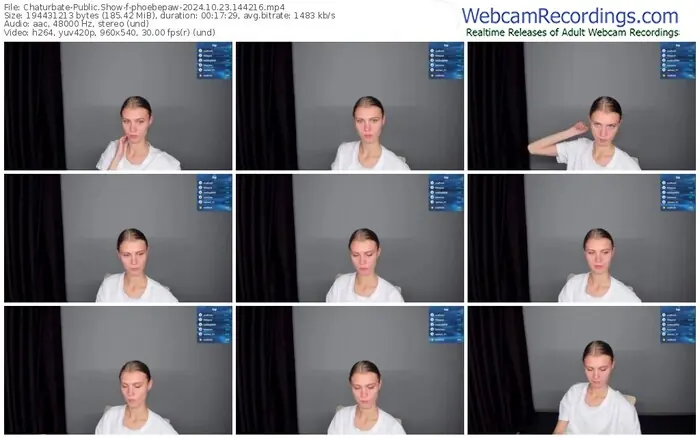 2024/10/23/chaturbate-phoebepaw-14-42-16