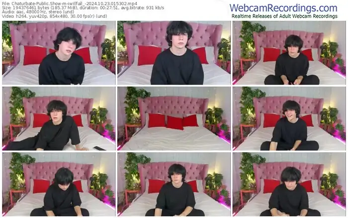 2024/10/23/chaturbate-iwillfall_-01-53-02