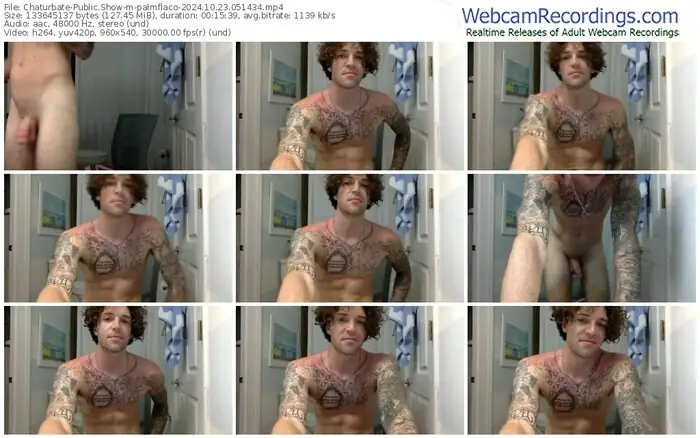 2024/10/23/chaturbate-palmflaco-05-14-34
