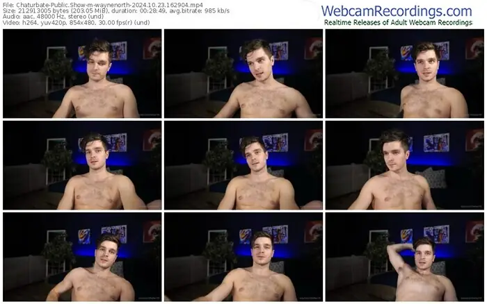 2024/10/23/chaturbate-waynenorth-16-29-04