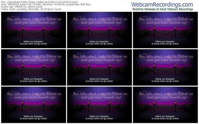 2024/10/24/chaturbate-8abycat-23-15-10