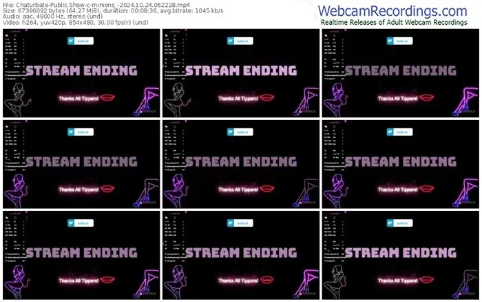 2024/10/24/chaturbate-minions_-06-22-28