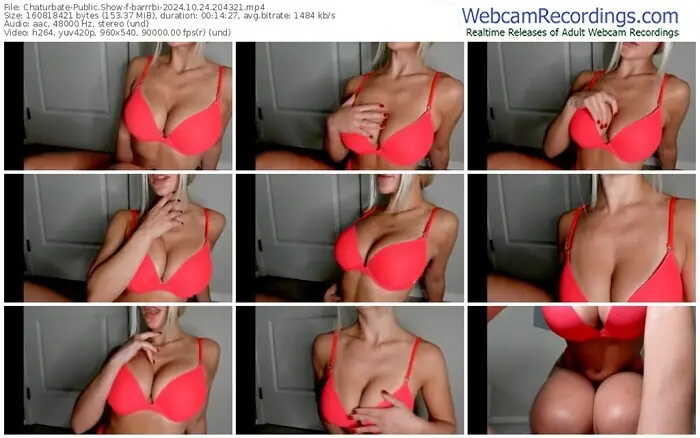 2024/10/24/chaturbate-barrrbi-20-43-21